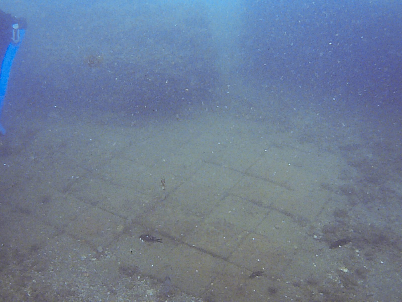 The mosaic floor of a Roman bath lying underwater in the sunken city of Baia