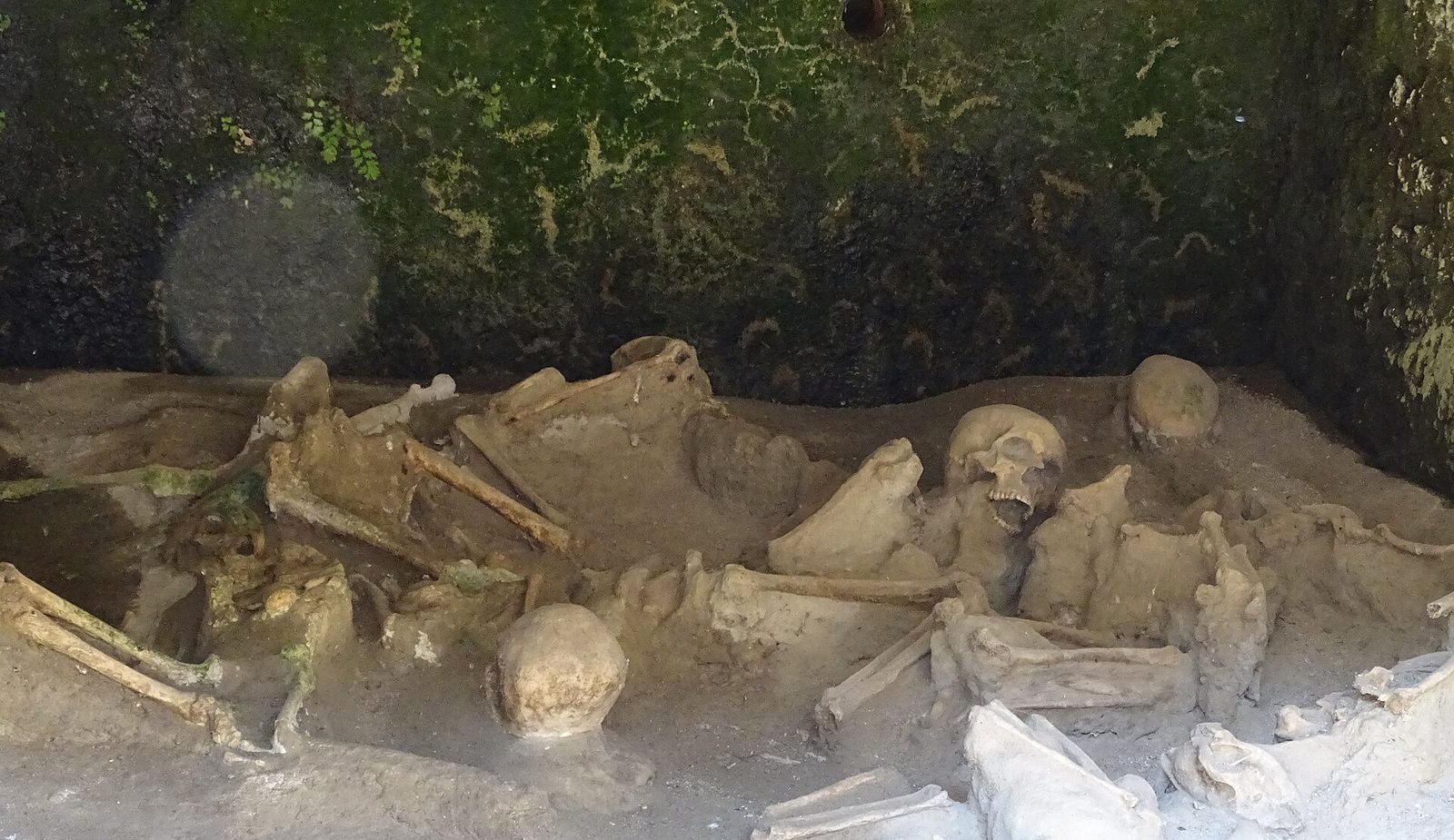Skeletons of people who died sheltering in the vaulted boat houses on the ancient shoreline of Herculaneum