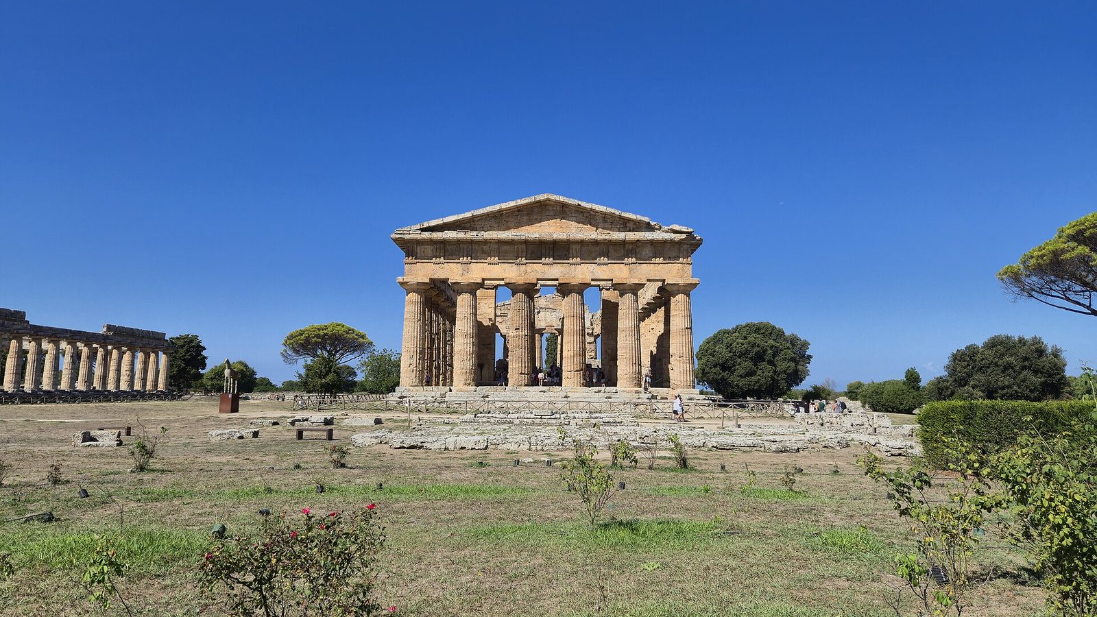 A Doric Greek temple standing in the meadows of the archaeological park at Paestum