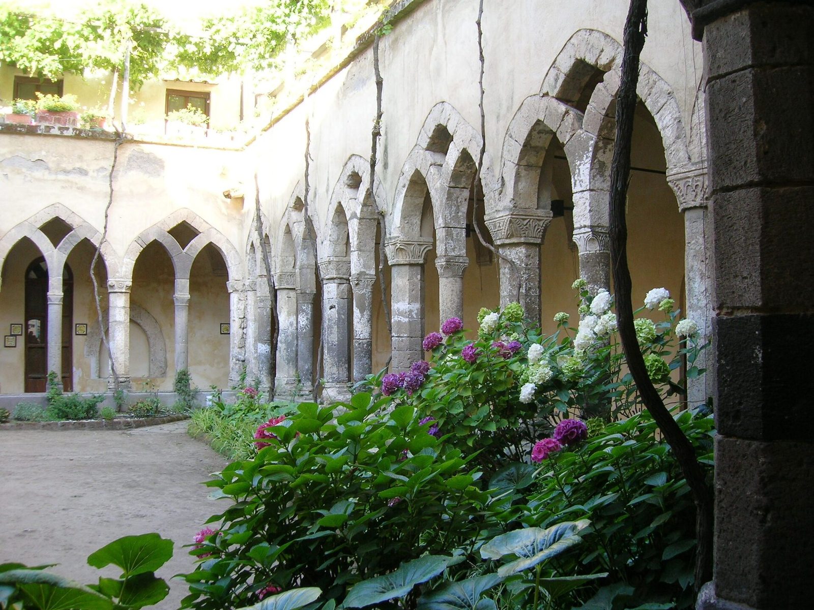 The arched cloister of San Francesco in Sorrento with hydrangeas in bloom