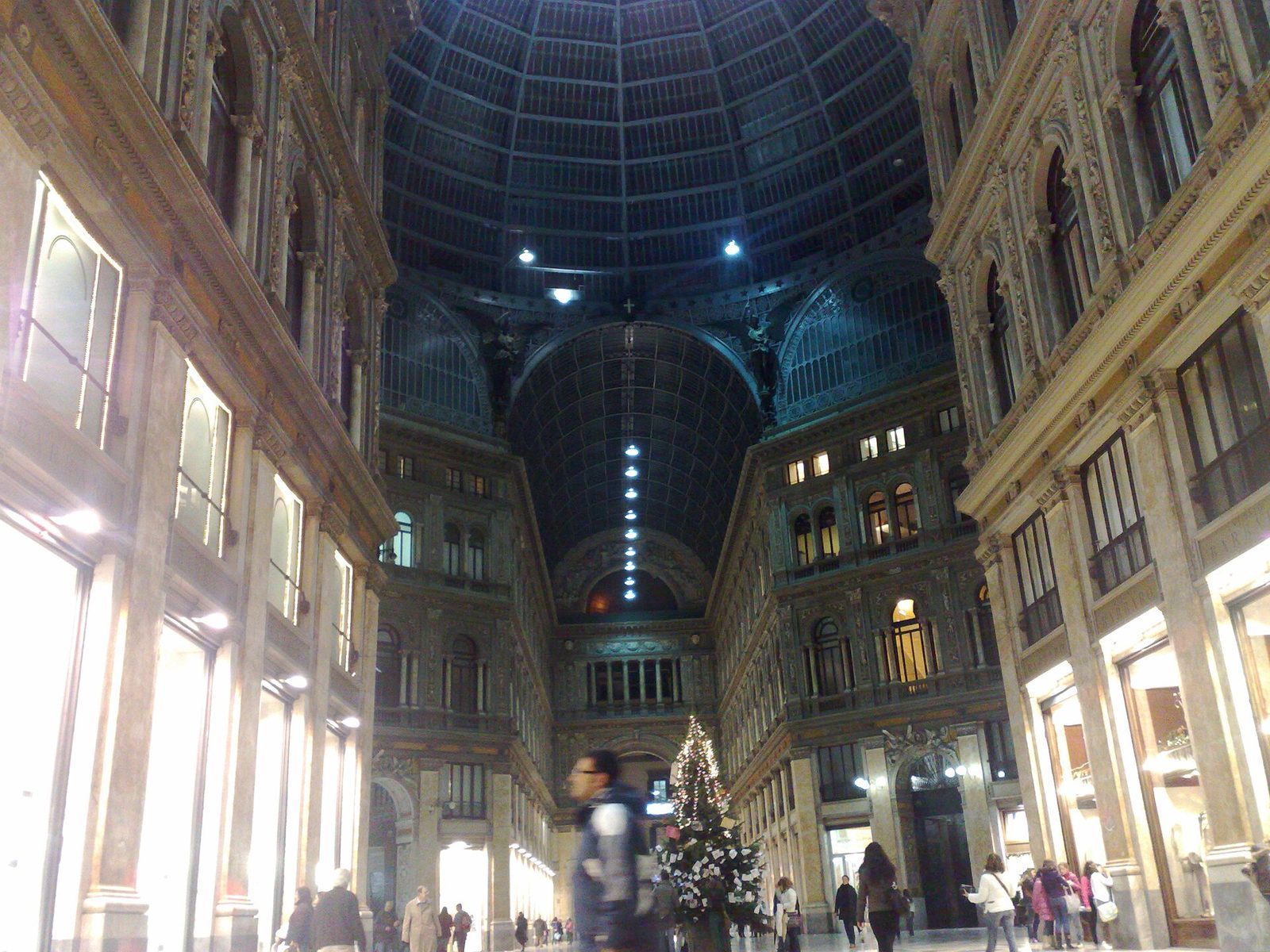 A Christmas tree under the glass dome of the Galleria Umberto I in Naples at night